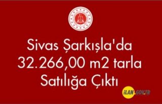 Sivas Şarkışla'da 32.266,00 m² tarla Satılığa...