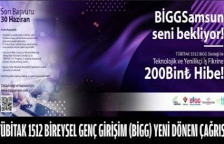 TÜBİTAK 1512 BİREYSEL GENÇ GİRİŞİM (BİGG)...