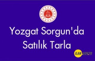 Yozgat Sorgun'da 22.250 m² Satılık tarla