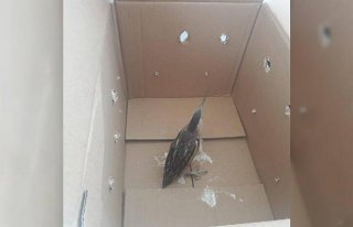 Zonguldak'ta Karadeniz Bölge Komutanlığında bulunan...