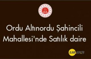 Altınordu Şahincili Mahallesi'nde daire Satılık
