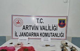 Artvin'de uyuşturucu operasyonu