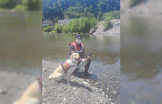 Artvin'de yaralı bulunan yeşilbaş ördek, tedavisi...