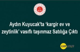 Aydın Kuyucak'ta ‘kargir ev ve zeytinlik’...