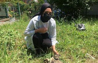 Bartın'da kafası yoğurt kabına sıkışan kediyi...