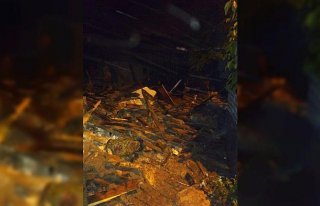 Bolu'da ahşap evde çıkan yangın söndürüldü