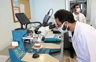 Bolu'daki araştırma merkezinde akciğer ve lenf...