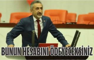 BUNUN HESABINI ÖDEYECEKSİNİZ