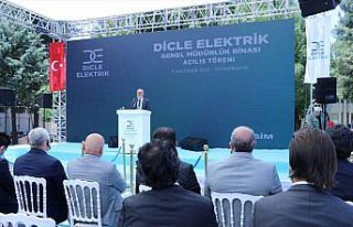 Diyarbakır'da Dicle Elektrik Dağıtım A.Ş'nin...