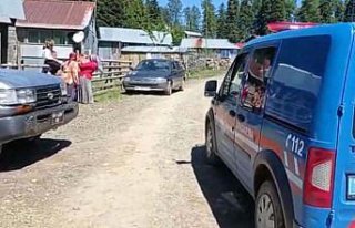 Düzce'de yaralı karaca yavrusu koruma altına alındı