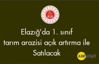 Elazığ'da 1. sınıf tarım arazisi açık...