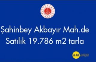 Gaziantep'de 19.786 m2 tarla