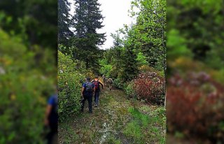 Gümüşhane'de kayıp kişiyi bulmak için arama...