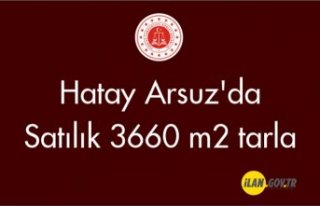 Hatay Arsuz'da Satılık 3660 m2 tarla