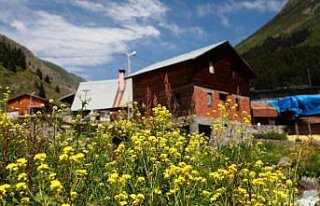 Karadeniz'in yeni gözdesi Elevit Yaylası ziyaretçilerine...