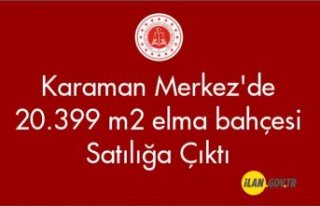 Karaman Merkez'de 20.399 m² elma bahçesi Satılık