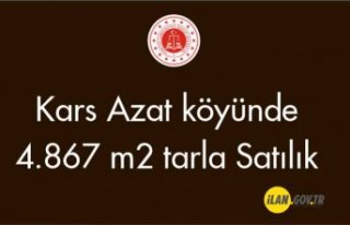 Kars Azat köyünde 4.867 m² tarla satılıktır