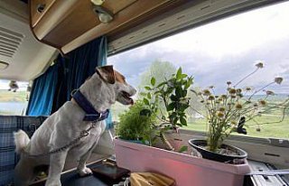 Köpekleri Tarçın ile karavanla Karadeniz turuna...