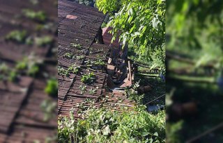 Rize'de üzerine ağaç devrilen evde hasar oluştu