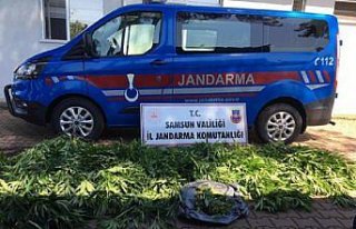 Samsun'da uyuşturucu operasyonlarında 15 şüpheli...