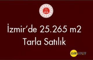 Tire Peşrefli Mahallesi'nde 25.265 m² tarla...