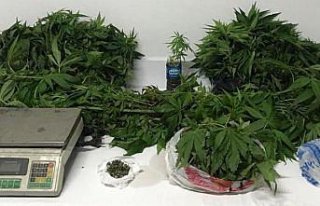 Trabzon'da uyuşturucu operasyonunda 2 kişi yakalandı