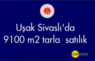 Uşak Sivaslı'da 9100 m² tarla Satılık