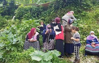 Aile ve Sosyal Hizmetler Bakanlığı Rize'de selden...