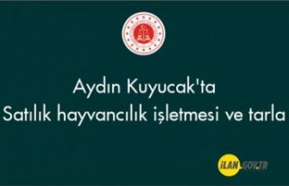 Aydın Kuyucak'ta satılık hayvancılık işletmesi...