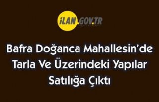 Bafra'da tarla ve üzerindeki yapılar satışa...