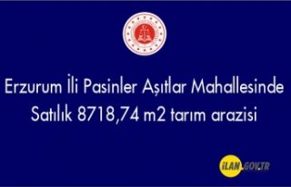 Erzurum İli Pasinler Aşıtlar Mahallesinde 8718,74...