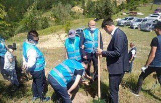 Kastamonu'da 15 Temmuz şehitleri anısına fidan...