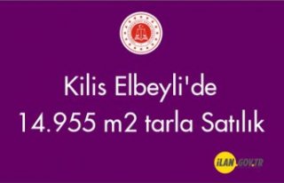 Kilis Elbeyli'de 14.955 m² tarla Satılık