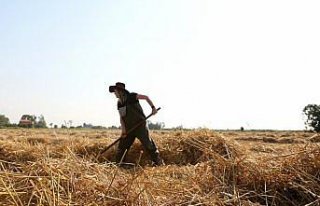 Merve öğretmen hayvancılığa başlayarak babasının...