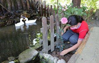 Minik eller okul bahçesinde oluşturulan serada mevsimine...