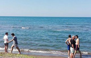 Ordu'da denizde boğulma tehlikesi geçiren genç...