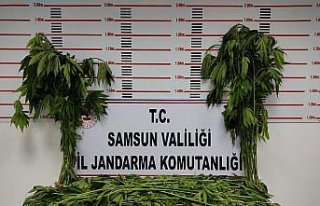 Samsun'da uyuşturucu operasyonlarında 16 şüpheli...