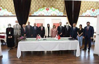 Sokak hayvanlarının yaşam şartlarının iyileştirilmesi...