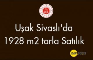 Uşak Sivaslı'da 1928 m2 tarla Satılık