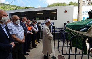 Cumhurbaşkanı Erdoğan, Bozkurt'taki selde...