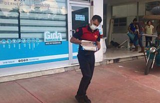 Düzce'de 3. kattan düşen yavru saka kuşunu itfaiye...