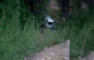 Gümüşhane'de kamyonet şarampole devrildi: 2 yaralı