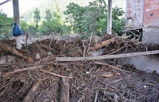 Kastamonu'daki sel sırasında ahırdaki buzağıların...