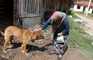 Köpeklerine tüfekle ateş ettiğini öne sürdüğü...