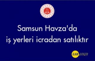 Samsun Havza'da iş yerleri icradan satılık