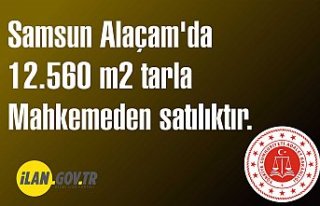Samsun Alaçam'da 12.560 m2 tarla mahkemeden...