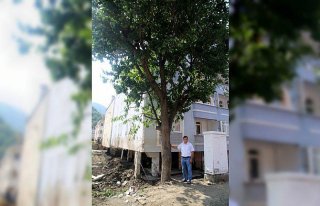 Selde 6 saat ağaçta mahsur kaldı, yan binadan uzatılan...