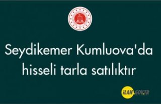 Seydikemer Kumluova'da hisseli tarla satılıktır