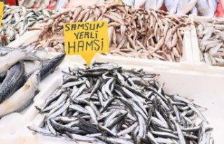 Bu sezon hamsi tezgahlardaki yerini erken aldı