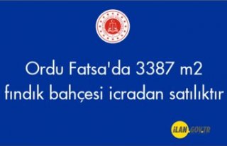 Ordu Fatsa'da 3387 m² fındık bahçesi icradan...